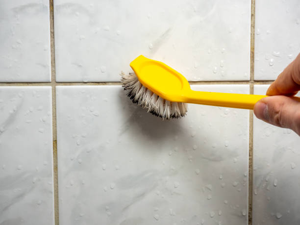 Best Residential Mold Removal  in Red Lion, PA