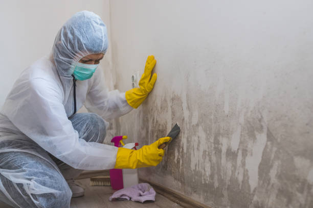 Best Crawl Space Mold Removal  in Red Lion, PA