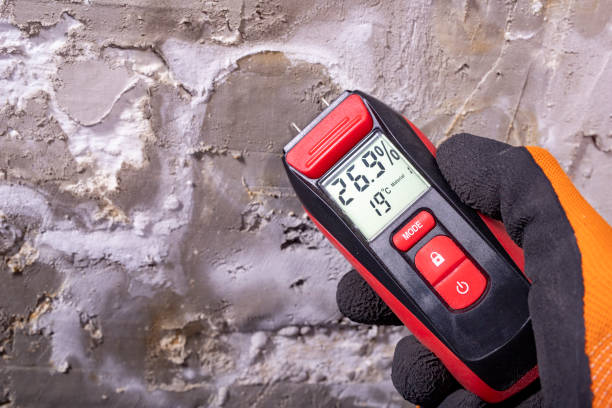 Best Home Mold Removal  in Red Lion, PA