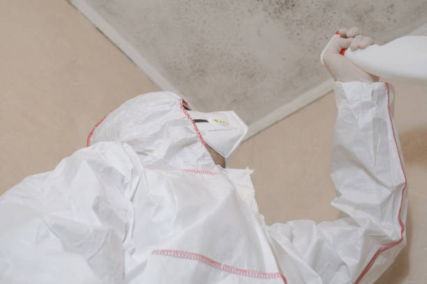 Best Commercial Mold Removal  in Red Lion, PA