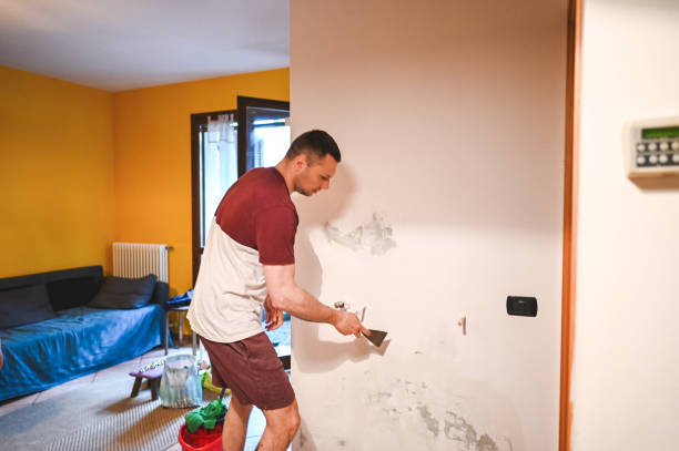 Certified Mold Removal in Red Lion, PA
