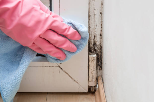 Best Crawl Space Mold Removal  in Red Lion, PA